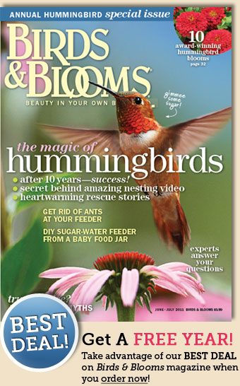 Get a FREE YEAR of Birds and Blooms