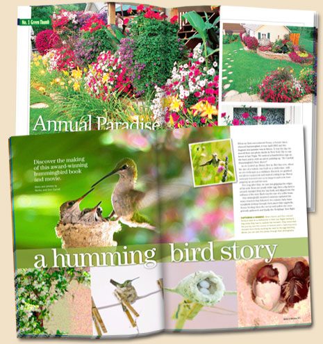 What's Inside Birds and Blooms Magazine